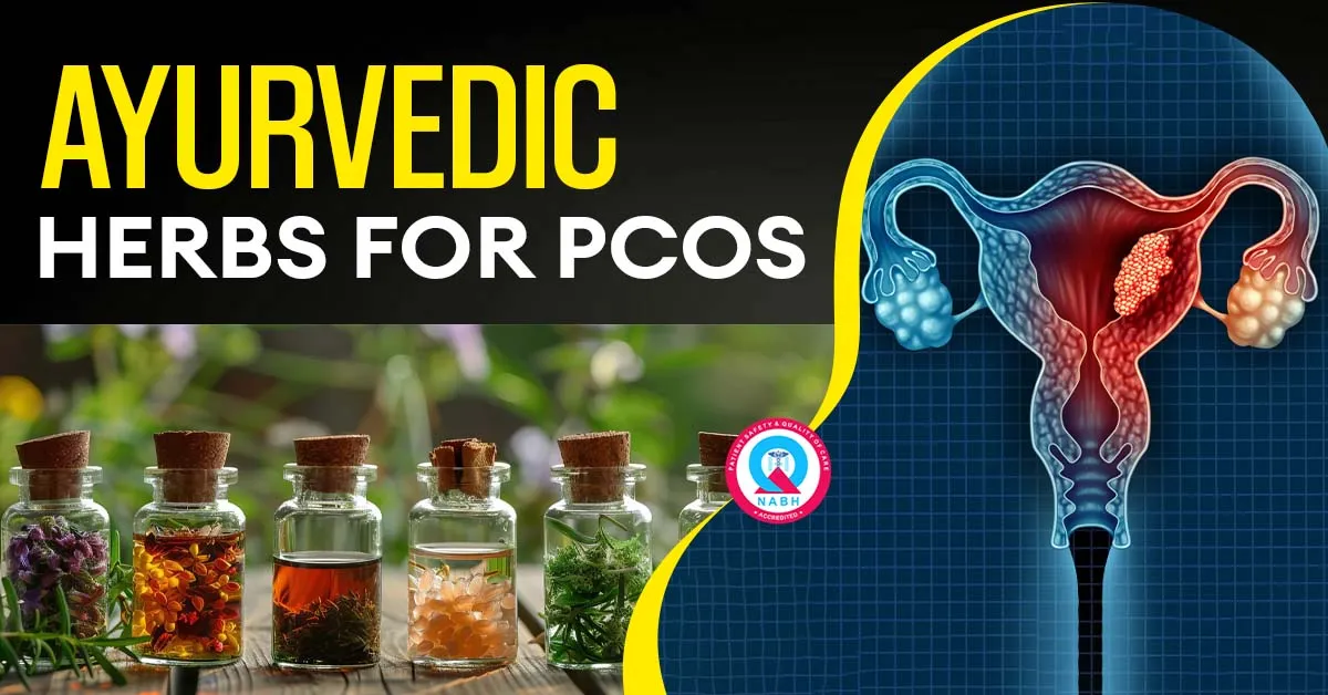ayurvedic-herbs-for-pcos